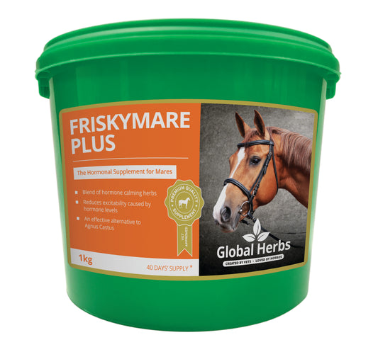 Global Herbs Frisky Mare Plus