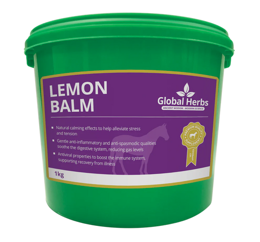 Lemon Balm - Global Herbs