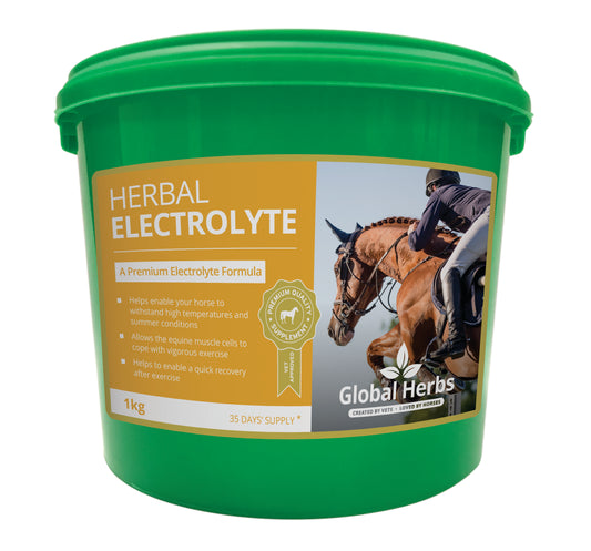 Global Herbs Herbal Electrolyte - 1KG