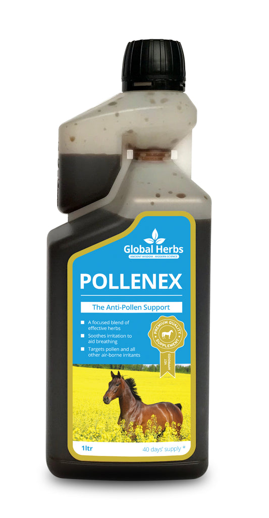 Global Herbs PolleneX Liquid NEW IMPROVED