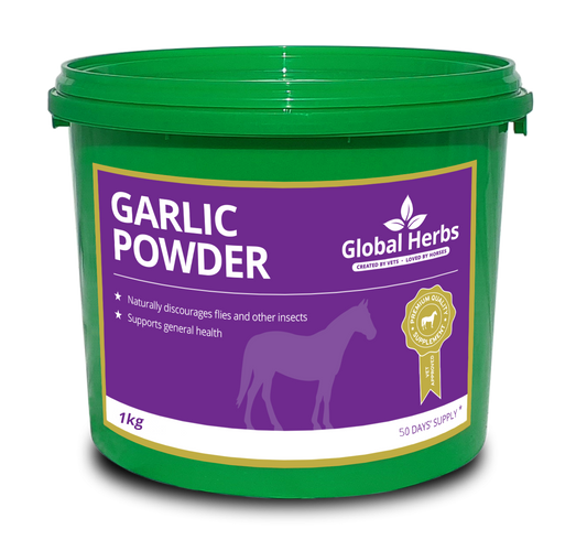 Global Herbs Garlic Powder in tub - 1KG